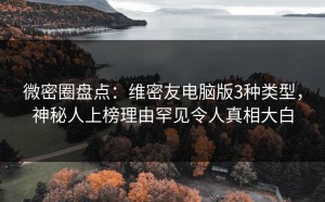 微密圈盘点：维密友电脑版3种类型，神秘人上榜理由罕见令人真相大白