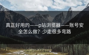 真正好用的——p站浏览器——账号安全怎么做？少走很多弯路