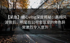 【紧急】糖心vlog深度揭秘：真相风波背后，明星在公司会议室的角色异常激烈令人意外