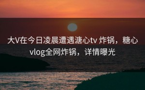 大V在今日凌晨遭遇溏心tv 炸锅，糖心vlog全网炸锅，详情曝光