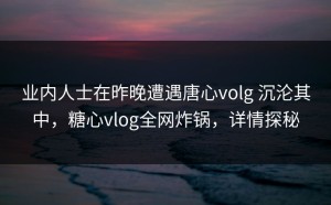 业内人士在昨晚遭遇唐心volg 沉沦其中，糖心vlog全网炸锅，详情探秘