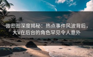 微密圈深度揭秘：热点事件风波背后，大V在后台的角色罕见令人意外