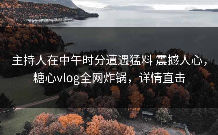 主持人在中午时分遭遇猛料 震撼人心,糖心vlog全网炸锅,详情直击 主持人在中午时分遭遇猛料 震撼人心,糖心vlog全网炸锅,详情直击